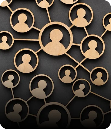 Seamless team integration
